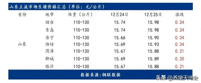 12月25日山东市场猪价行情